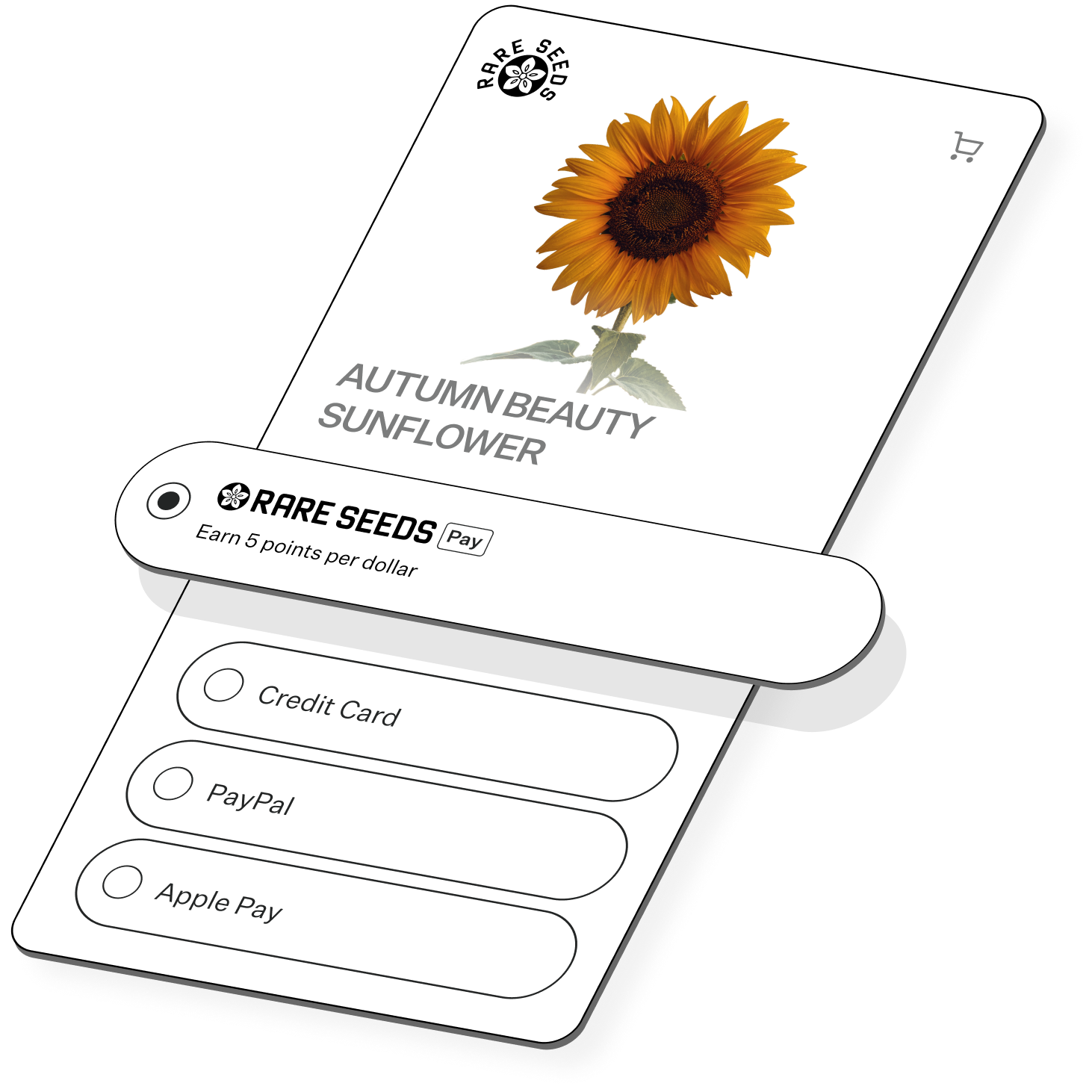 About Rare Seeds Pay